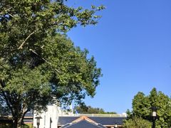 -福建鲤鱼洲酒店