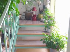 -Jo's Garden