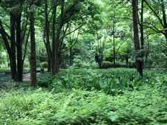 -黄公望隐居地