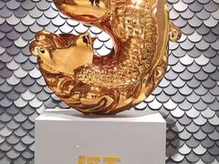 -阿五黄河大鲤鱼(海尚店)