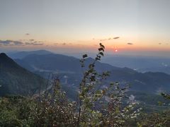 -武陵山森林公园