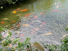 -东莞观音山旅游风景区