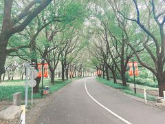 -东方绿舟景区