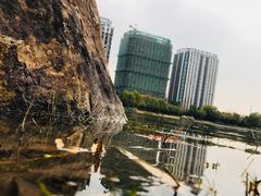 -南翔镇银翔湖公园