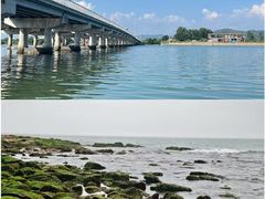 -盐洲岛
