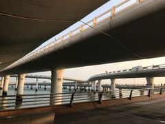 -演武大桥观景平台
