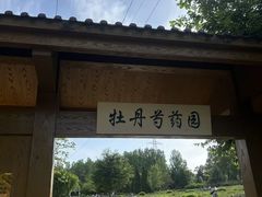 -黑龙江省森林植物园
