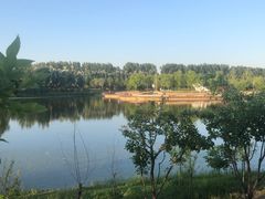 -东郊湿地公园