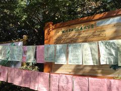 -杭州半山国家森林公园