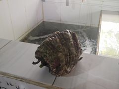 -海盗餐厅