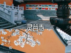 -阅江楼风景区
