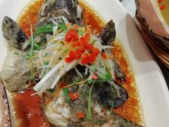 -阿英煲(凉城路店)