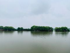 -洪湖生态旅游区