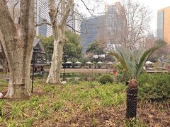 -静安公园(静安寺街道)