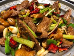 干锅肥肠护心肉-95号酱骨·一块豆腐(展春园西路店)