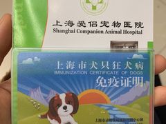 -爱侣宠医·鹦鹉专科·小型哺乳类·异宠专科(灵石路店)