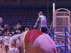 -西安秦岭野生动物园