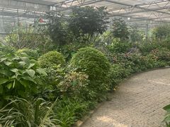 -南宫五洲植物乐园