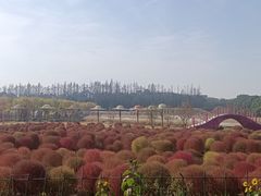 -嘉北郊野公园