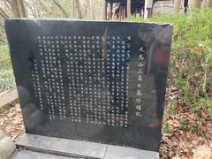 -上海佘山国家森林公园天马山园