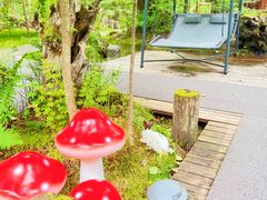-长白山聚龙火山温泉