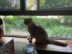 -咖法森林·咖啡  酒吧(天河店)