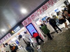 -日上免税行(浦东机场五店)