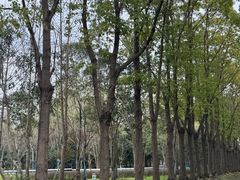 -嘉北郊野公园