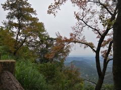 -广州市石门国家森林公园