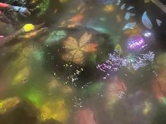 -苏州环秀晓筑养生度假村