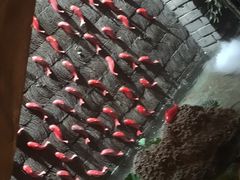 -小龙坎老火锅(鹤伴一路店)