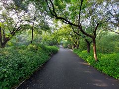 -千佛山风景名胜区