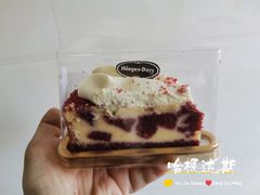 -哈根达斯(石家庄北国店)