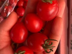 剩女果-黄记四更烤乳猪店