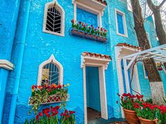 -北京野生动物园