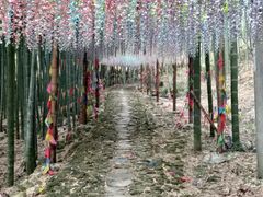 -众神白水涧景区