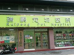 -瑞鹏宠物医院·夜间急症·心超·猫科(祖庙分店)