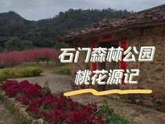 -广州市石门国家森林公园