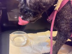 -二刀潮牛(重庆光环购物公园店)