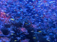 -成都浩海立方海洋公园