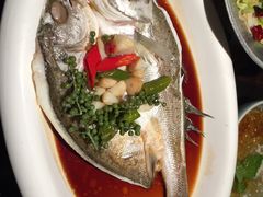 葱椒鲈鱼-绿茶餐厅(昌平悦荟店)
