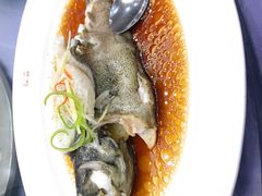 清蒸鲑鱼-晋阳饭庄(虎坊桥店)