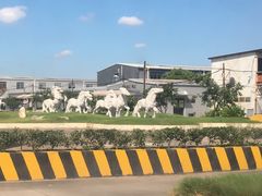 -胜华驾校·小猫学车(银都店)