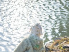 -白鹭洲公园