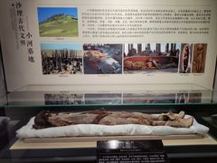 -巴音郭楞蒙古自治州博物馆