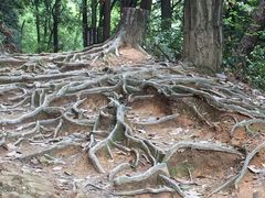 -小格里自然风景区