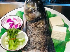 -松沪名灶·豆浆鱼头·新上海菜(飞航吾悦广场店)
