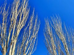 -亿利库布其七星湖沙漠生态旅游区