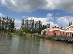 -上海长兴岛郊野公园