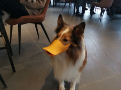 -West10 西拾·西餐厅·创意菜(未来科技城店)